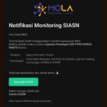 Cara Atasi Data Tidak Ditemukan di MOLA BKN Saat Cek NIP PPPK