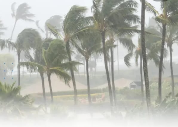 Dampak Serius Siklon Tropis FINA, BMKG Peringatkan Cuaca Ekstrem di Indonesia