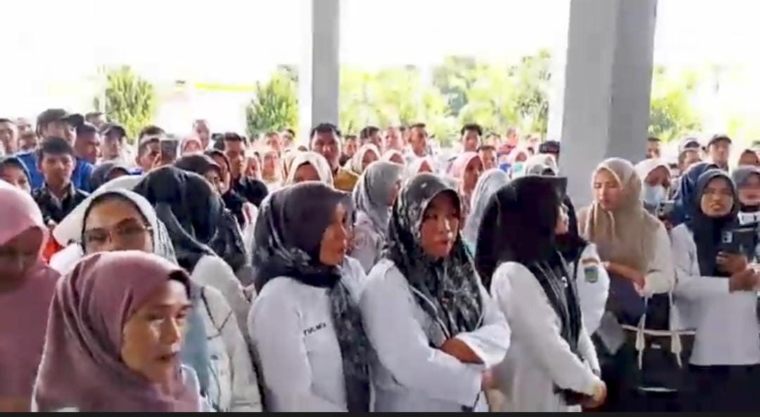 PPPK Paruh Waktu Tunggu Kepastian Gaji, BKSDM Tunda Kontrak