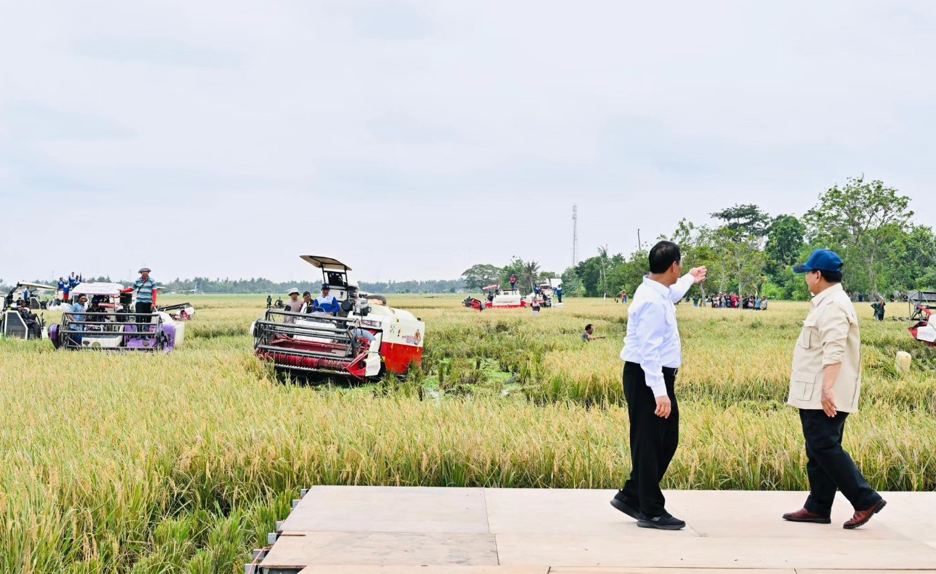 Keberhasilan Swasembada Pangan 2025, Presiden Prabowo Pimpin Panen Raya