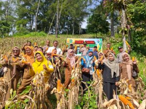 Desa Pelayang Raya Tunjukkan Kekuatan Pangan Melalui Panen Jagung