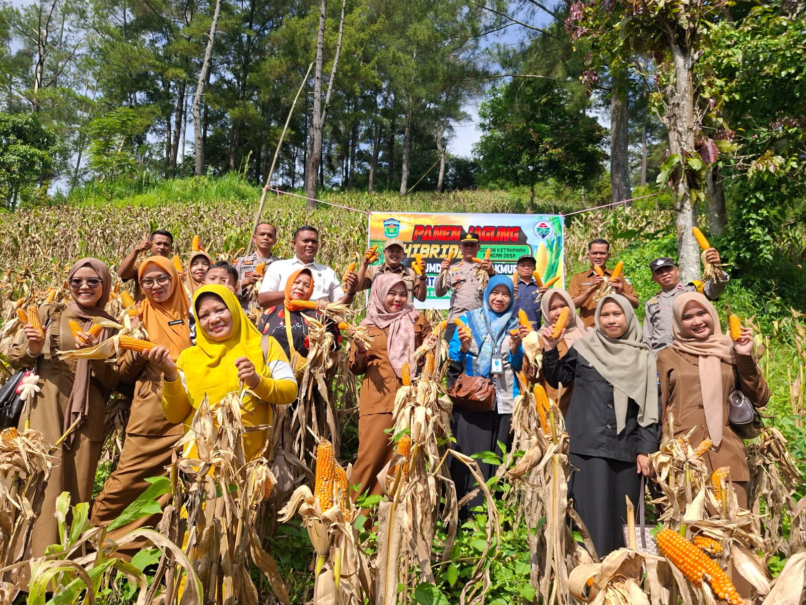 Desa Pelayang Raya Tunjukkan Kekuatan Pangan Melalui Panen Jagung