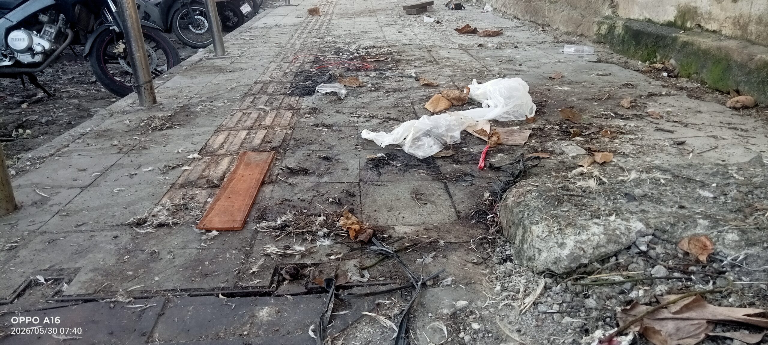 Sampah dan Limbah Ayam Menumpuk, Warga Desak Kabid Persampahan Dicopot